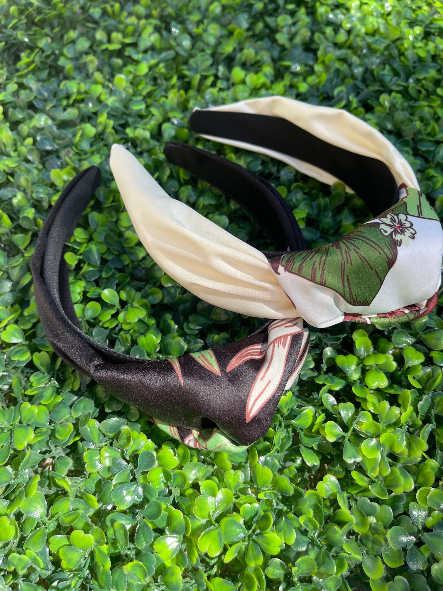 zz $5 Birds of Paradise Collection